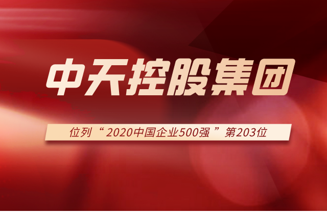 EBpay集团列2020中国企业500强第203位！